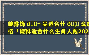 貔貅饰 🐬 品适合什 🦉 么命格「貔貅适合什么生肖人戴2021年」